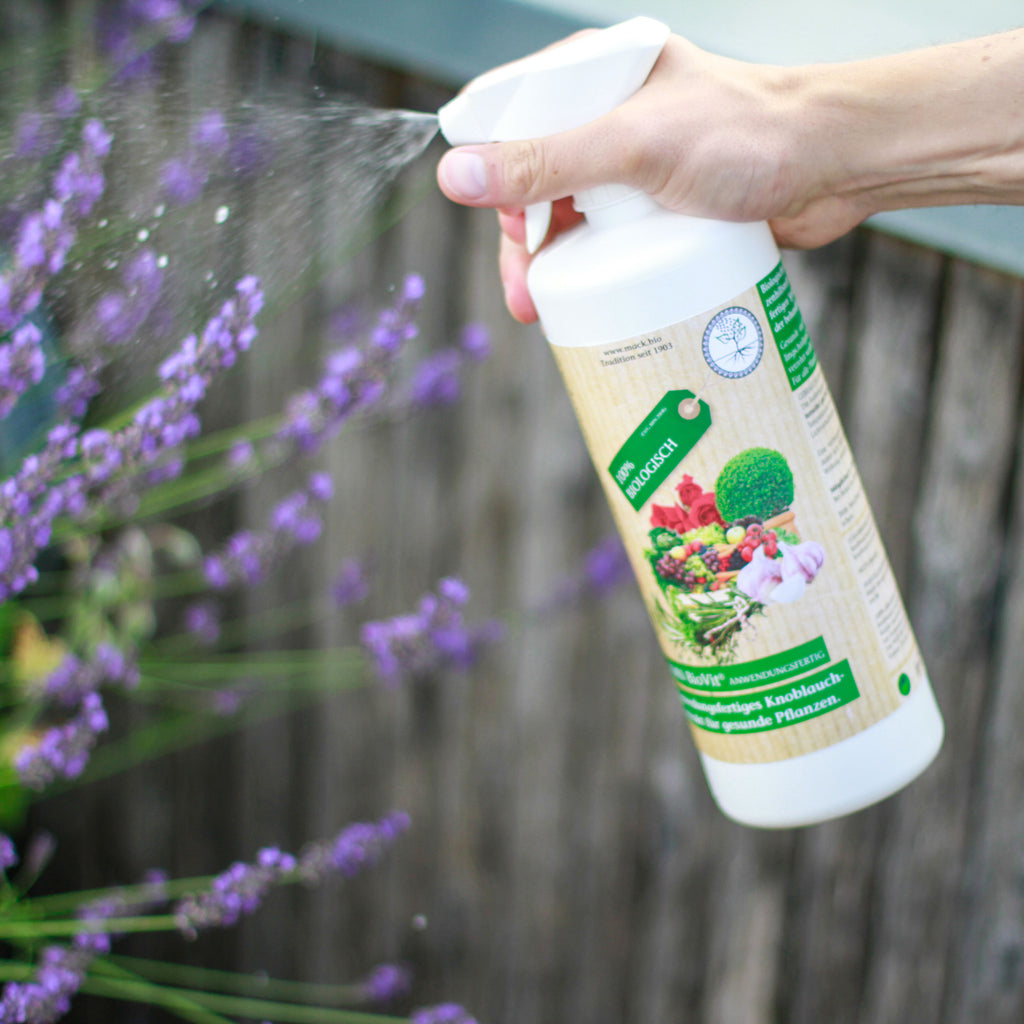 AMN BioVit – anwendungsfertige Sprühflasche