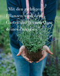 Pflanzplanungsworkshop Planen & Blühen