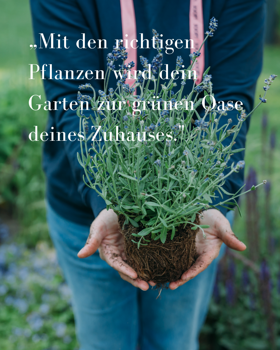 Pflanzplanungsworkshop Planen & Blühen